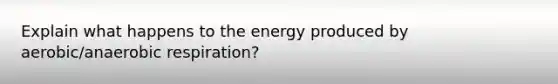 Explain what happens to the energy produced by aerobic/anaerobic respiration?