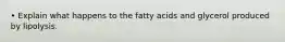 • Explain what happens to the fatty acids and glycerol produced by lipolysis.