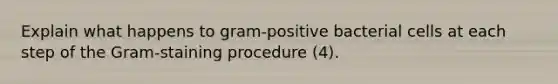 Explain what happens to gram-positive bacterial cells at each step of the Gram-staining procedure (4).