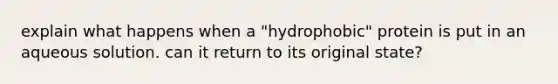 explain what happens when a "hydrophobic" protein is put in an aqueous solution. can it return to its original state?