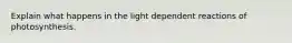 Explain what happens in the light dependent reactions of photosynthesis.