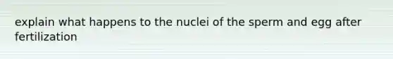 explain what happens to the nuclei of the sperm and egg after fertilization