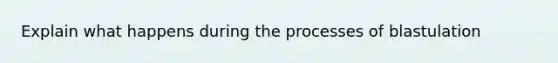 Explain what happens during the processes of blastulation