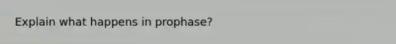 Explain what happens in prophase?