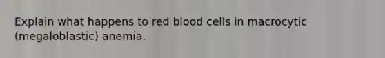 Explain what happens to red blood cells in macrocytic (megaloblastic) anemia.