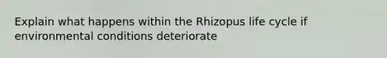 Explain what happens within the Rhizopus life cycle if environmental conditions deteriorate