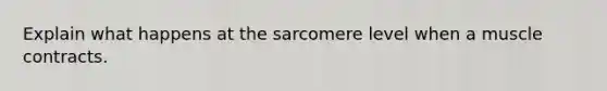 Explain what happens at the sarcomere level when a muscle contracts.