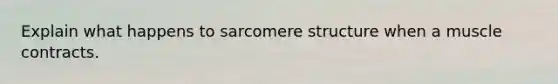 Explain what happens to sarcomere structure when a muscle contracts.