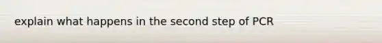 explain what happens in the second step of PCR