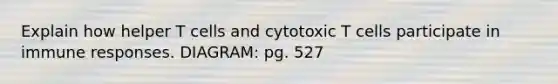 Explain how helper T cells and cytotoxic T cells participate in immune responses. DIAGRAM: pg. 527