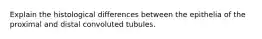 Explain the histological differences between the epithelia of the proximal and distal convoluted tubules.