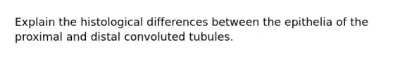 Explain the histological differences between the epithelia of the proximal and distal convoluted tubules.