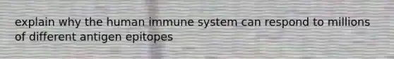 explain why the human immune system can respond to millions of different antigen epitopes