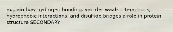 explain how hydrogen bonding, van der waals interactions, hydrophobic interactions, and disulfide bridges a role in protein structure SECONDARY