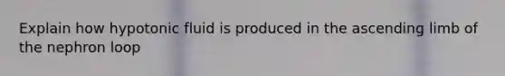 Explain how hypotonic fluid is produced in the ascending limb of the nephron loop