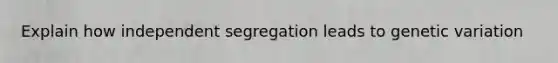 Explain how independent segregation leads to genetic variation