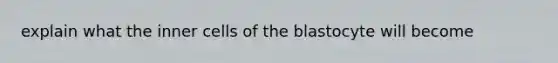 explain what the inner cells of the blastocyte will become