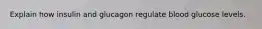 Explain how insulin and glucagon regulate blood glucose levels.