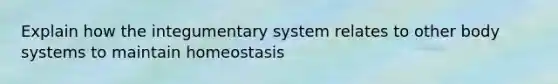 Explain how the integumentary system relates to other body systems to maintain homeostasis