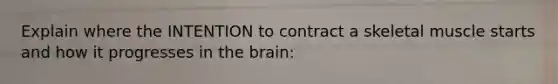 Explain where the INTENTION to contract a skeletal muscle starts and how it progresses in the brain: