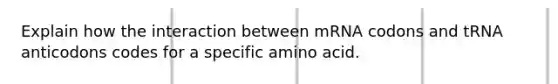 Explain how the interaction between mRNA codons and tRNA anticodons codes for a specific amino acid.