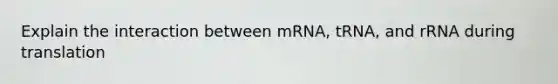 Explain the interaction between mRNA, tRNA, and rRNA during translation