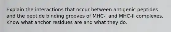 Explain the interactions that occur between antigenic peptides and the peptide binding grooves of MHC-I and MHC-II complexes. Know what anchor residues are and what they do.