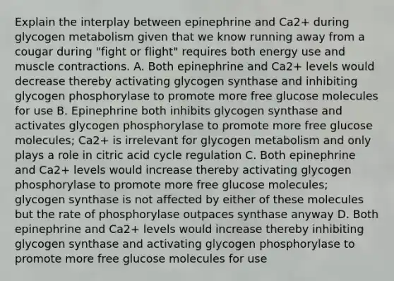 Explain the interplay between epinephrine and Ca2+ during glycogen metabolism given that we know running away from a cougar during "fight or flight" requires both energy use and muscle contractions. A. Both epinephrine and Ca2+ levels would decrease thereby activating glycogen synthase and inhibiting glycogen phosphorylase to promote more free glucose molecules for use B. Epinephrine both inhibits glycogen synthase and activates glycogen phosphorylase to promote more free glucose molecules; Ca2+ is irrelevant for glycogen metabolism and only plays a role in citric acid cycle regulation C. Both epinephrine and Ca2+ levels would increase thereby activating glycogen phosphorylase to promote more free glucose molecules; glycogen synthase is not affected by either of these molecules but the rate of phosphorylase outpaces synthase anyway D. Both epinephrine and Ca2+ levels would increase thereby inhibiting glycogen synthase and activating glycogen phosphorylase to promote more free glucose molecules for use