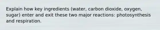 Explain how key ingredients (water, carbon dioxide, oxygen, sugar) enter and exit these two major reactions: photosynthesis and respiration.