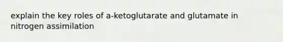 explain the key roles of a-ketoglutarate and glutamate in nitrogen assimilation