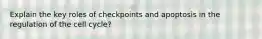 Explain the key roles of checkpoints and apoptosis in the regulation of the cell cycle?