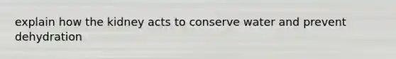 explain how the kidney acts to conserve water and prevent dehydration