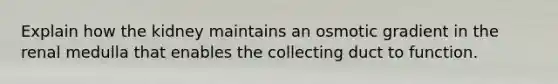 Explain how the kidney maintains an osmotic gradient in the renal medulla that enables the collecting duct to function.