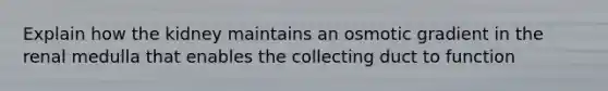 Explain how the kidney maintains an osmotic gradient in the renal medulla that enables the collecting duct to function