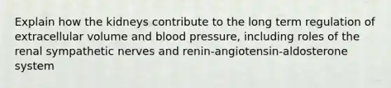 Explain how the kidneys contribute to the long term regulation of extracellular volume and blood pressure, including roles of the renal sympathetic nerves and renin-angiotensin-aldosterone system