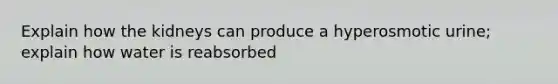 Explain how the kidneys can produce a hyperosmotic urine; explain how water is reabsorbed