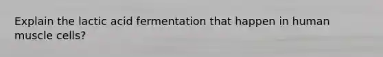 Explain the lactic acid fermentation that happen in human muscle cells?