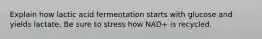 Explain how lactic acid fermentation starts with glucose and yields lactate. Be sure to stress how NAD+ is recycled.