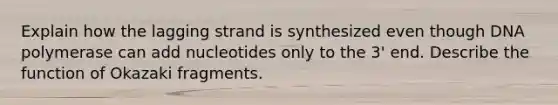 Explain how the lagging strand is synthesized even though DNA polymerase can add nucleotides only to the 3' end. Describe the function of Okazaki fragments.