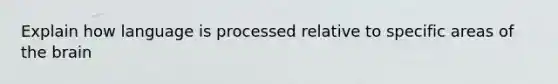 Explain how language is processed relative to specific areas of the brain