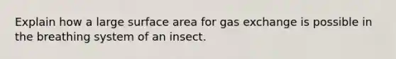 Explain how a large surface area for gas exchange is possible in the breathing system of an insect.