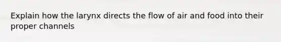 Explain how the larynx directs the flow of air and food into their proper channels