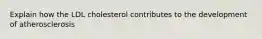 Explain how the LDL cholesterol contributes to the development of atherosclerosis