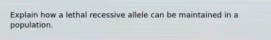 Explain how a lethal recessive allele can be maintained in a population.