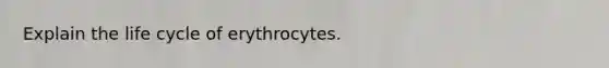 Explain the life cycle of erythrocytes.