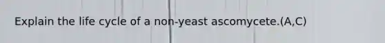 Explain the life cycle of a non-yeast ascomycete.(A,C)