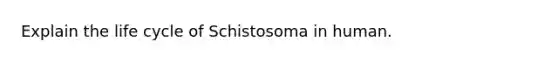 Explain the life cycle of Schistosoma in human.