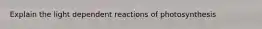 Explain the light dependent reactions of photosynthesis