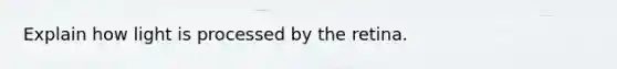 Explain how light is processed by the retina.