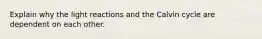 Explain why the light reactions and the Calvin cycle are dependent on each other.